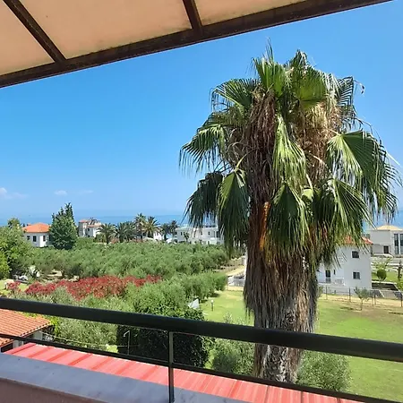 Aroma * פוליכרונו